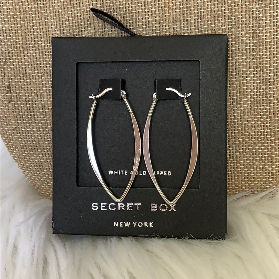 Flat Hooped Earrings